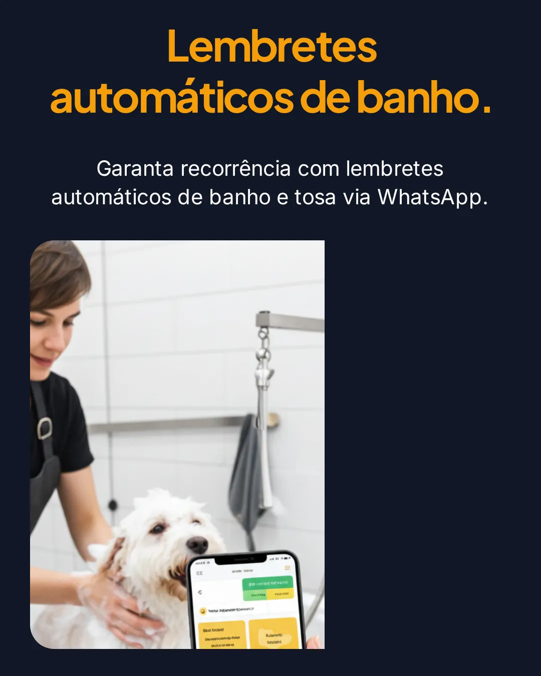 Lembretes automáticos de banho e tosa via WhatsApp